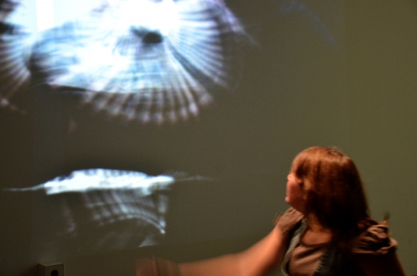 tanzausstellung_dhmd_buether_02