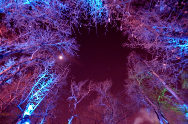 lichtwind-kugulu-park-ankara-buether-pankrath-35