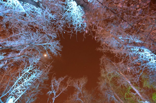 lichtwind-kugulu-park-ankara-buether-pankrath-36