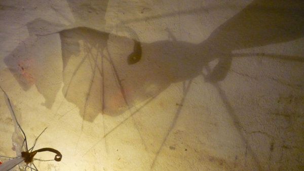 mueckenschwarm_regenschirme_wagner_dewart_15