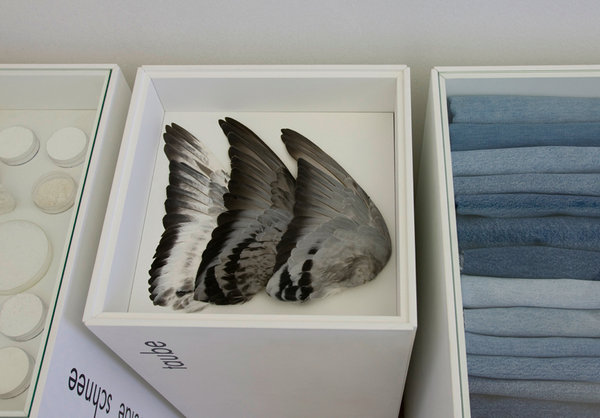Ausstellung zur Farbkonferenz Volkspark 2010